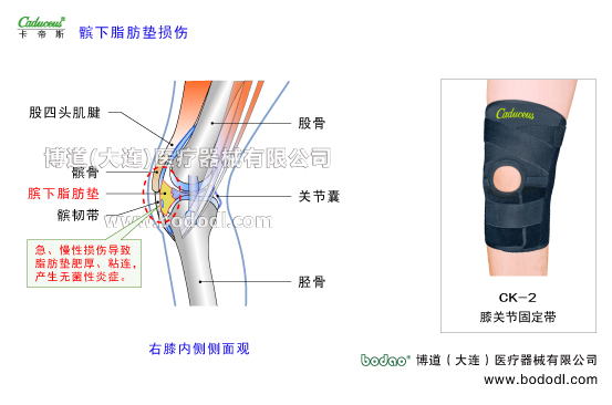 膝关节的运动损伤与防护